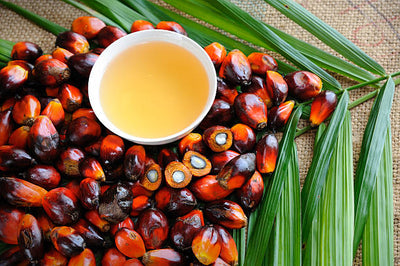 The Truth About The Palm Oil Industry