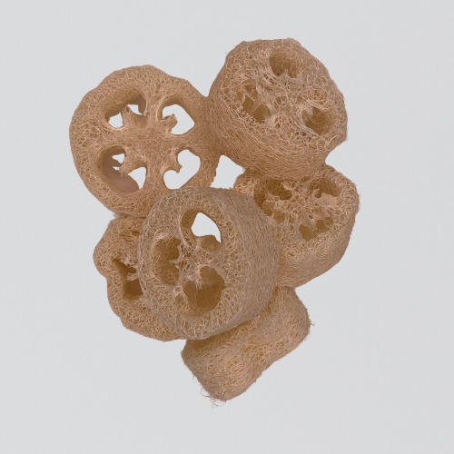 Loofa